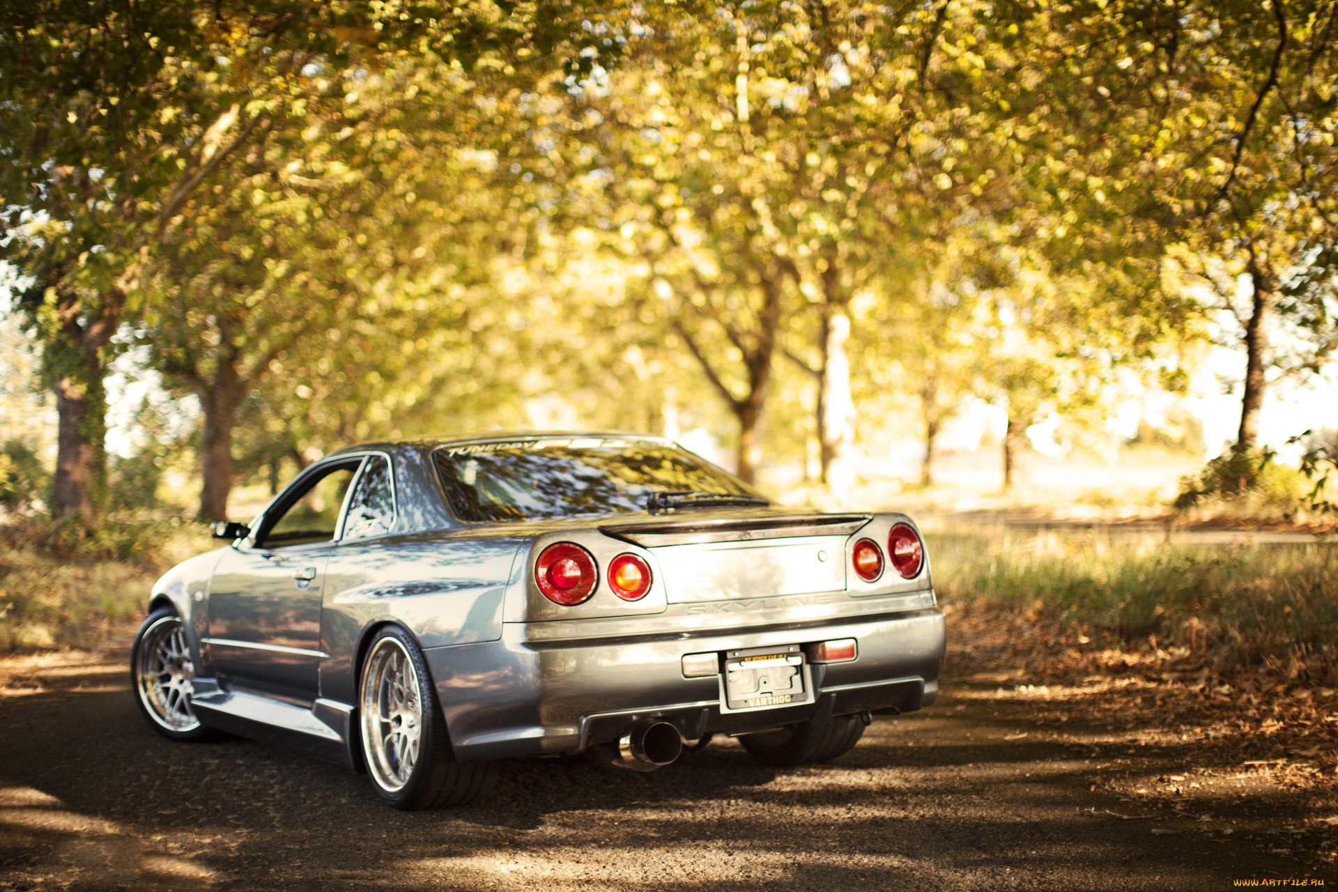 , nissan, datsun, skyline